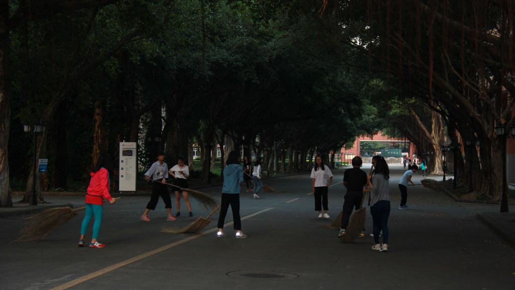 在晨曦中开始义扫